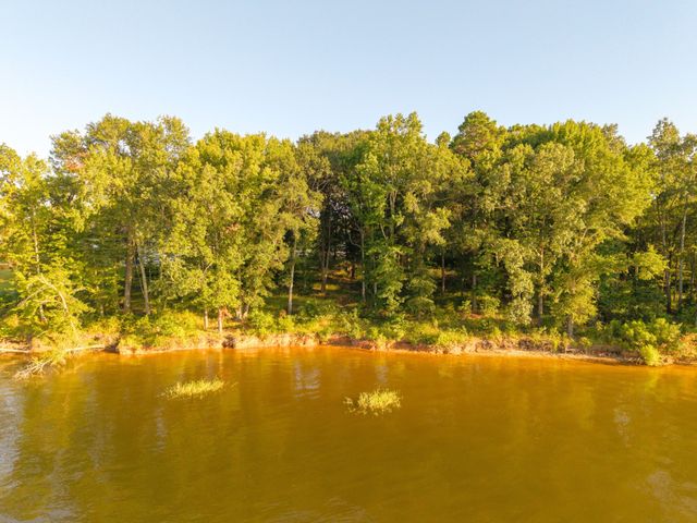 Lot 16 N PR 52416, Leesburg, TX 75451