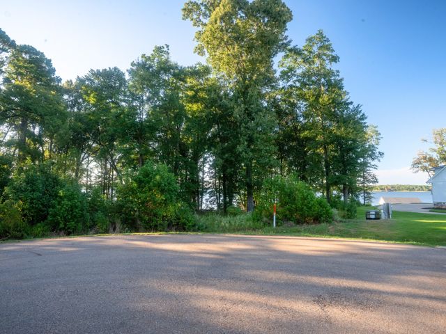 Lot 16 N PR 52416, Leesburg, TX 75451