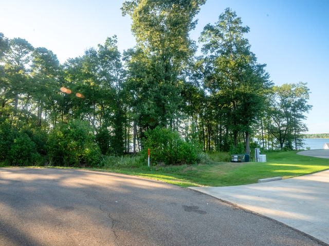 Lot 16 N PR 52416, Leesburg, TX 75451