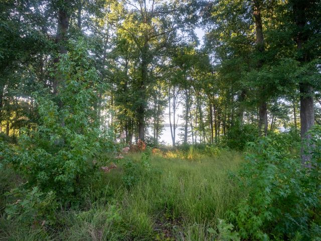 Lot 16 N PR 52416, Leesburg, TX 75451