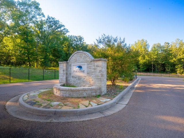 Lot 16 N PR 52416, Leesburg, TX 75451