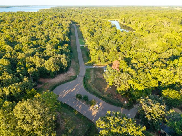Lot 16 N PR 52416, Leesburg, TX 75451