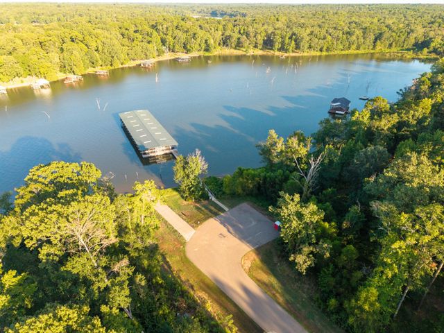 Lot 16 N PR 52416, Leesburg, TX 75451
