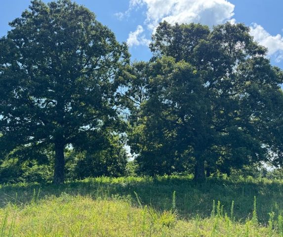 TBD Sky Island Drive, Mount Judea, AR 72655