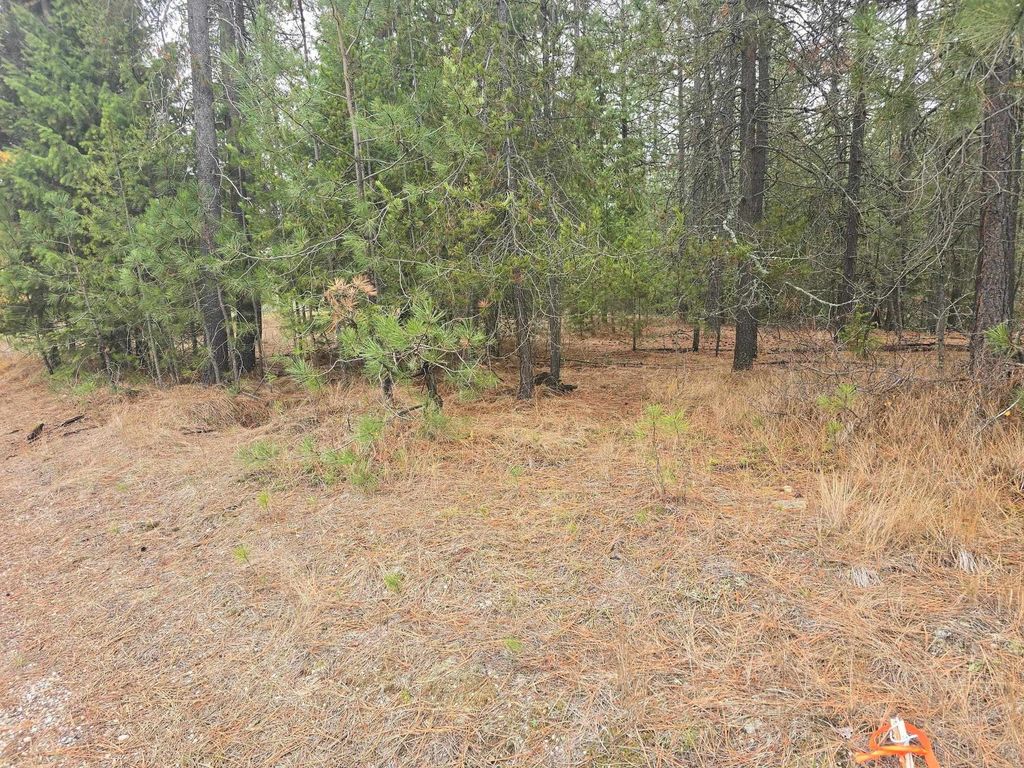 XXX Lot 18 Couples Ct, Chewelah, WA 99109 photo 11
