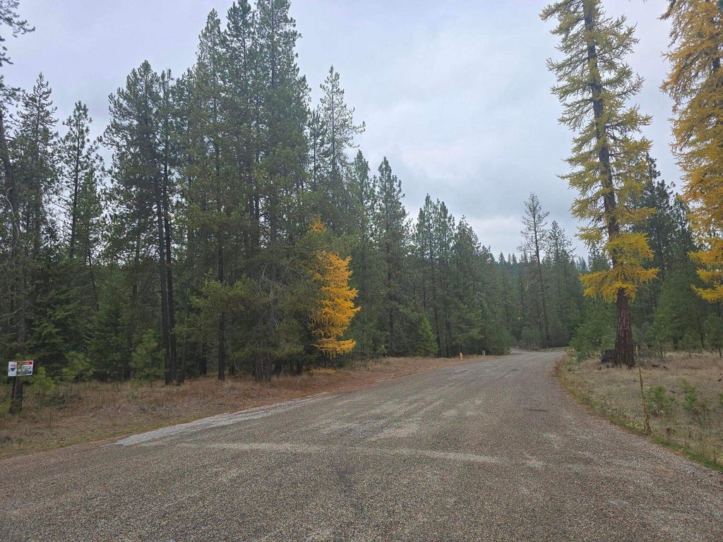XXX Lot 18 Couples Ct, Chewelah, WA 99109 photo 12