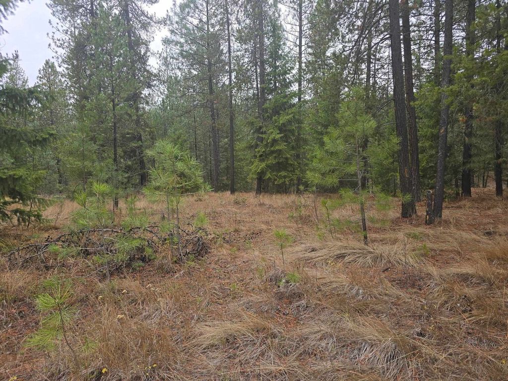 XXX Lot 18 Couples Ct, Chewelah, WA 99109 photo 5