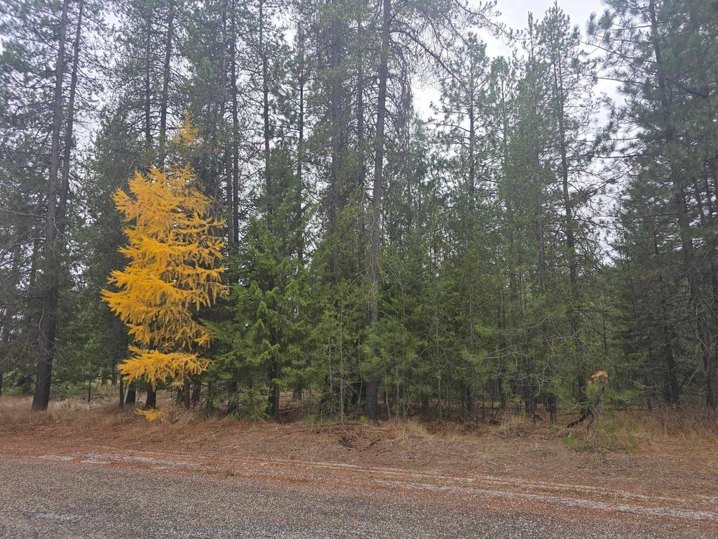 XXX Lot 18 Couples Ct, Chewelah, WA 99109 photo 8