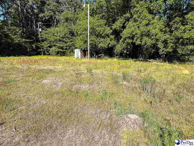 1135 Narrow Paved Rd, Lynchburg, SC 29080