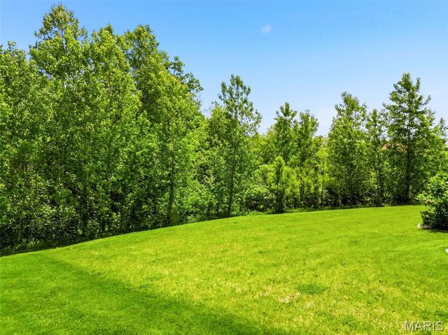 58 Blue Brook Court, O'fallon, MO 63366