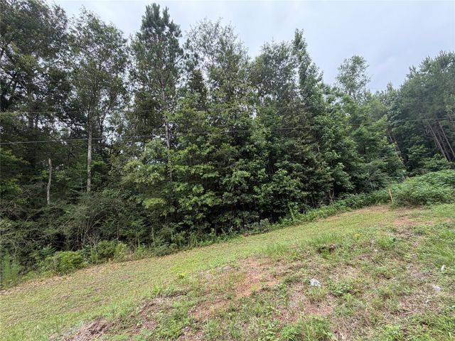 TBD Buffalo Subdivision, Livingston, TX 77351