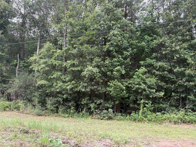 TBD Buffalo Subdivision, Livingston, TX 77351