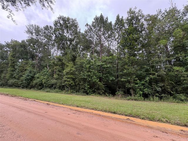 TBD Buffalo Subdivision, Livingston, TX 77351