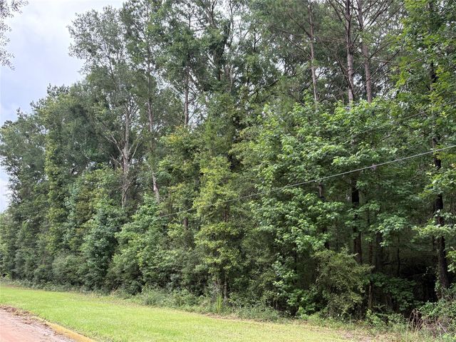 TBD Buffalo Subdivision, Livingston, TX 77351