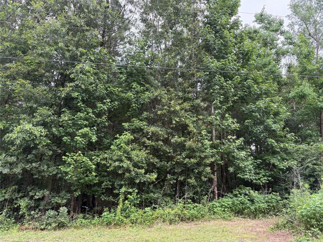 TBD Buffalo Subdivision, Livingston, TX 77351