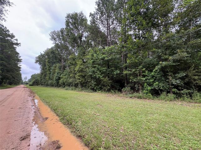 TBD Buffalo Subdivision, Livingston, TX 77351