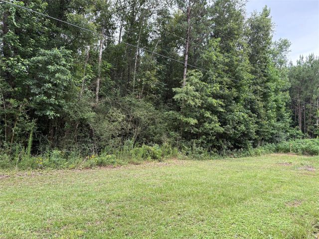 TBD Buffalo Subdivision, Livingston, TX 77351