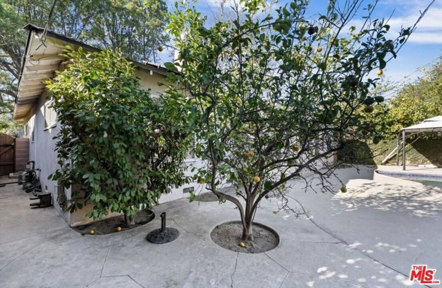 6114 Buffalo Avenue, Van Nuys (los Angeles), CA 91401
