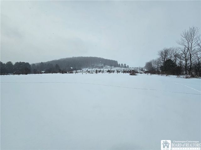 4449 Gile Hollow Road, Hinsdale, NY 14743