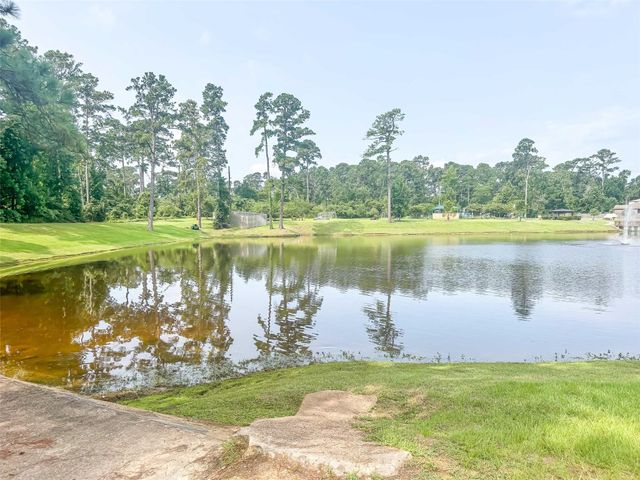 277 Stalwart Hill Trail, Magnolia, TX 77354