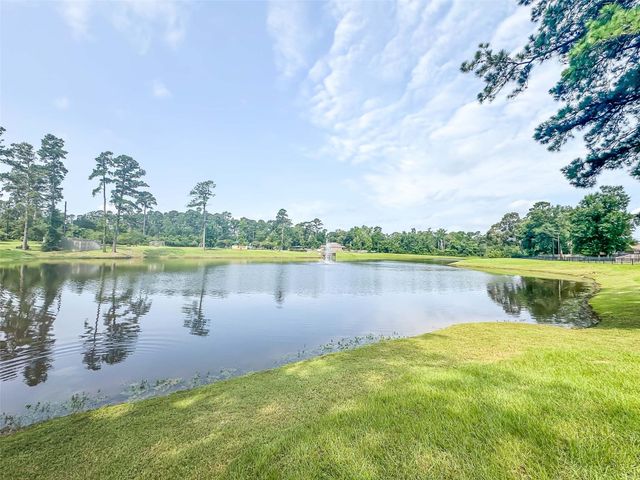 277 Stalwart Hill Trail, Magnolia, TX 77354
