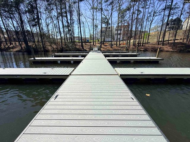 773 Long Pointe Lane, Columbia, SC 29229