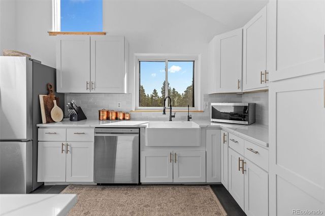 1110 Circle 73, Fairplay, CO 80440