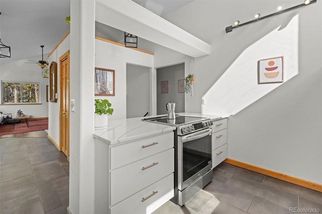 1110 Circle 73, Fairplay, CO 80440