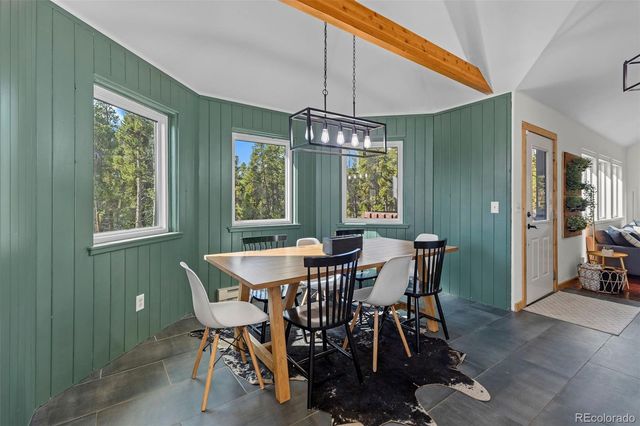 1110 Circle 73, Fairplay, CO 80440