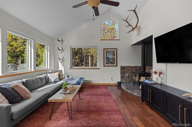 1110 Circle 73, Fairplay, CO 80440