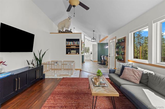 1110 Circle 73, Fairplay, CO 80440