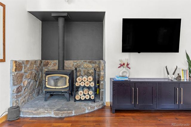 1110 Circle 73, Fairplay, CO 80440