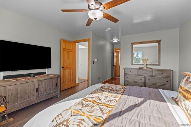 1110 Circle 73, Fairplay, CO 80440