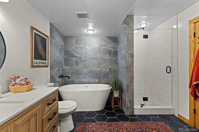 1110 Circle 73, Fairplay, CO 80440