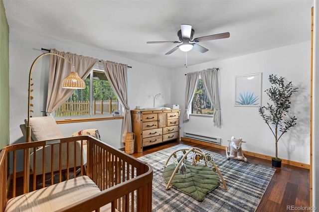 1110 Circle 73, Fairplay, CO 80440