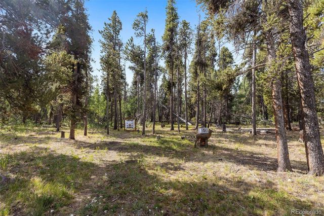 1110 Circle 73, Fairplay, CO 80440