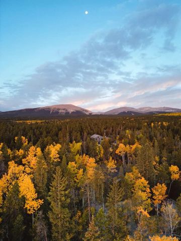 1110 Circle 73, Fairplay, CO 80440
