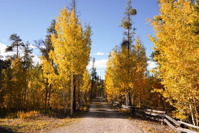 1110 Circle 73, Fairplay, CO 80440