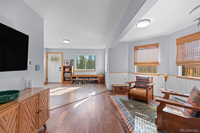 1110 Circle 73, Fairplay, CO 80440