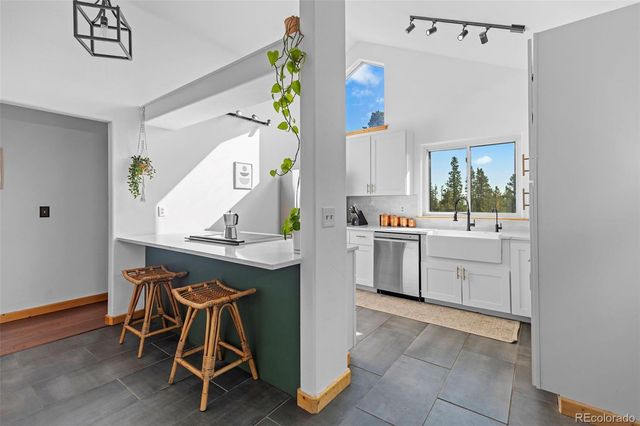 1110 Circle 73, Fairplay, CO 80440