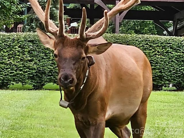 242 Panoramic Loop, Maggie Valley, NC 28751