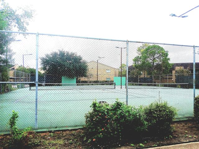 10555 Turtlewood Court 303, Houston, TX 77072