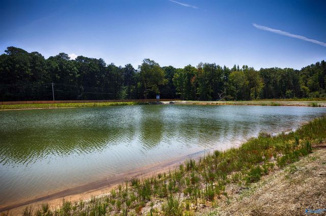 14827 Lapwing Cove, Athens, AL 35611