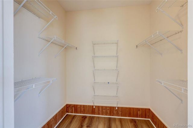 2137 Brierly Court, Castle Rock, CO 80104