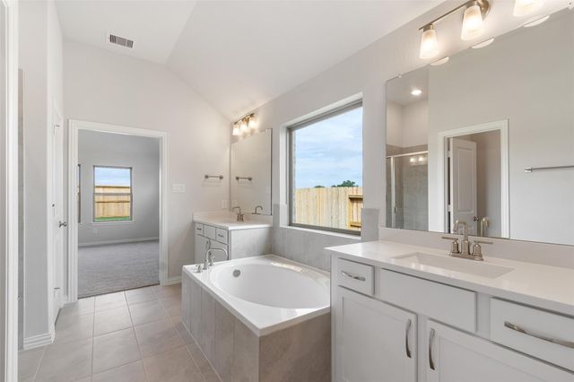 21723 Prairie Sumac Drive, Waller, TX 77484