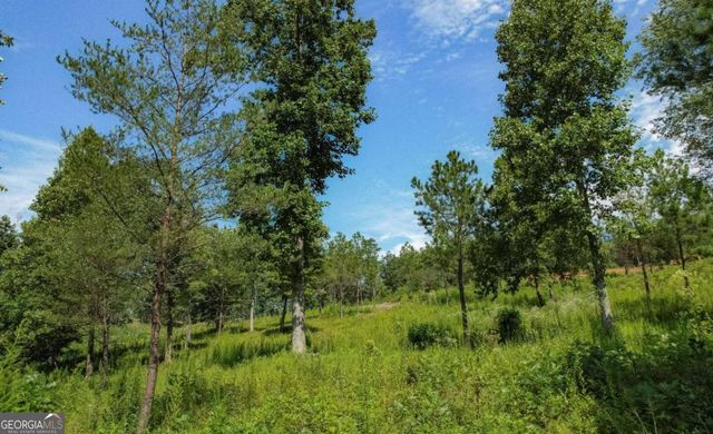 LT 26 Arbor Creek Trail 26, Mineral Bluff, GA 30559