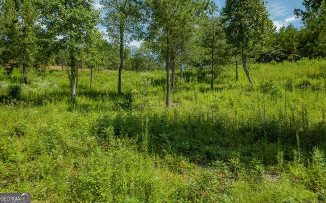 LT 26 Arbor Creek Trail 26, Mineral Bluff, GA 30559