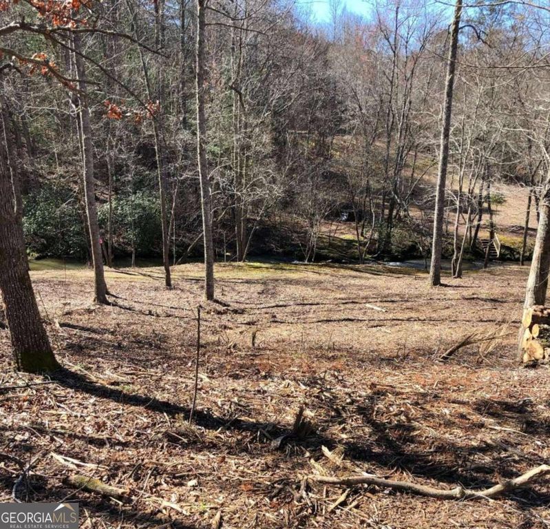 LT 26 Arbor Creek Trail 26, Mineral Bluff, GA 30559