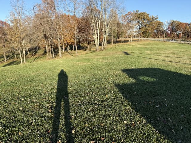 9461 Short Mountain Rd, Smithville, TN 37166