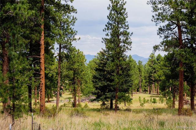 28114 Tresine Drive, Evergreen, CO 80439